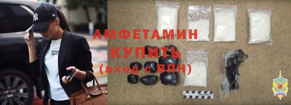 мдпв Елабуга