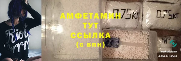 мдпв Елабуга