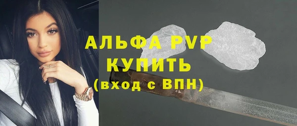 дурь Ельня