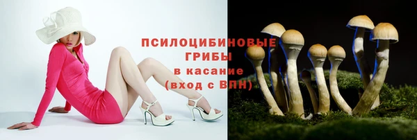 гидра Осташков