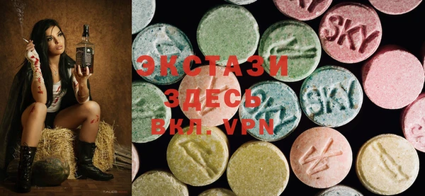 мдпв Елабуга