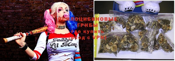 a pvp Шадринск