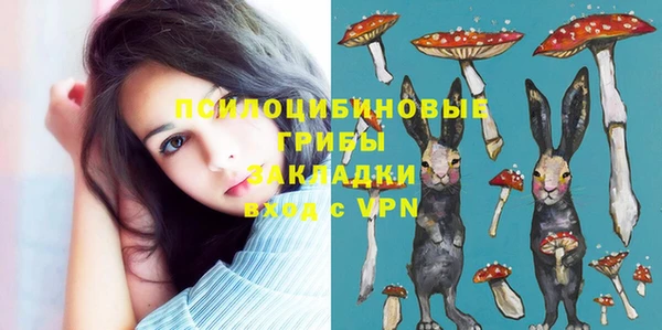 a pvp Шадринск