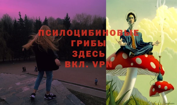 бутират Няндома