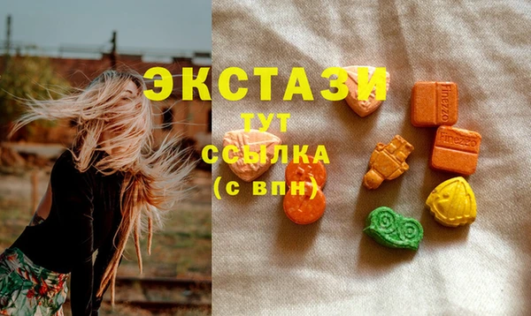 дурь Ельня