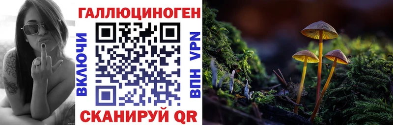 Галлюциногенные грибы MAGIC MUSHROOMS  Пикалёво 